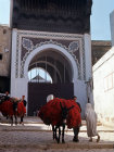 More images from Fez